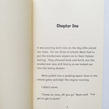 The Small Things (Lisa Thompson)