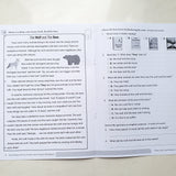 Exam Ready Primary English Mock Papers P3