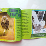 Hot and Cold Animals Series (6 Books)