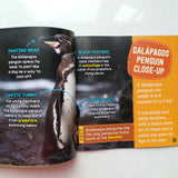 Hot and Cold Animals Series (6 Books)