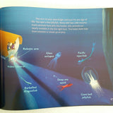 Let's-Read-and-Find-Out Science (stage 2): How Deep Is the Ocean?