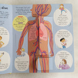 Look Inside Your Body