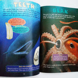 Who Would Win? Whale Vs. Giant Squid